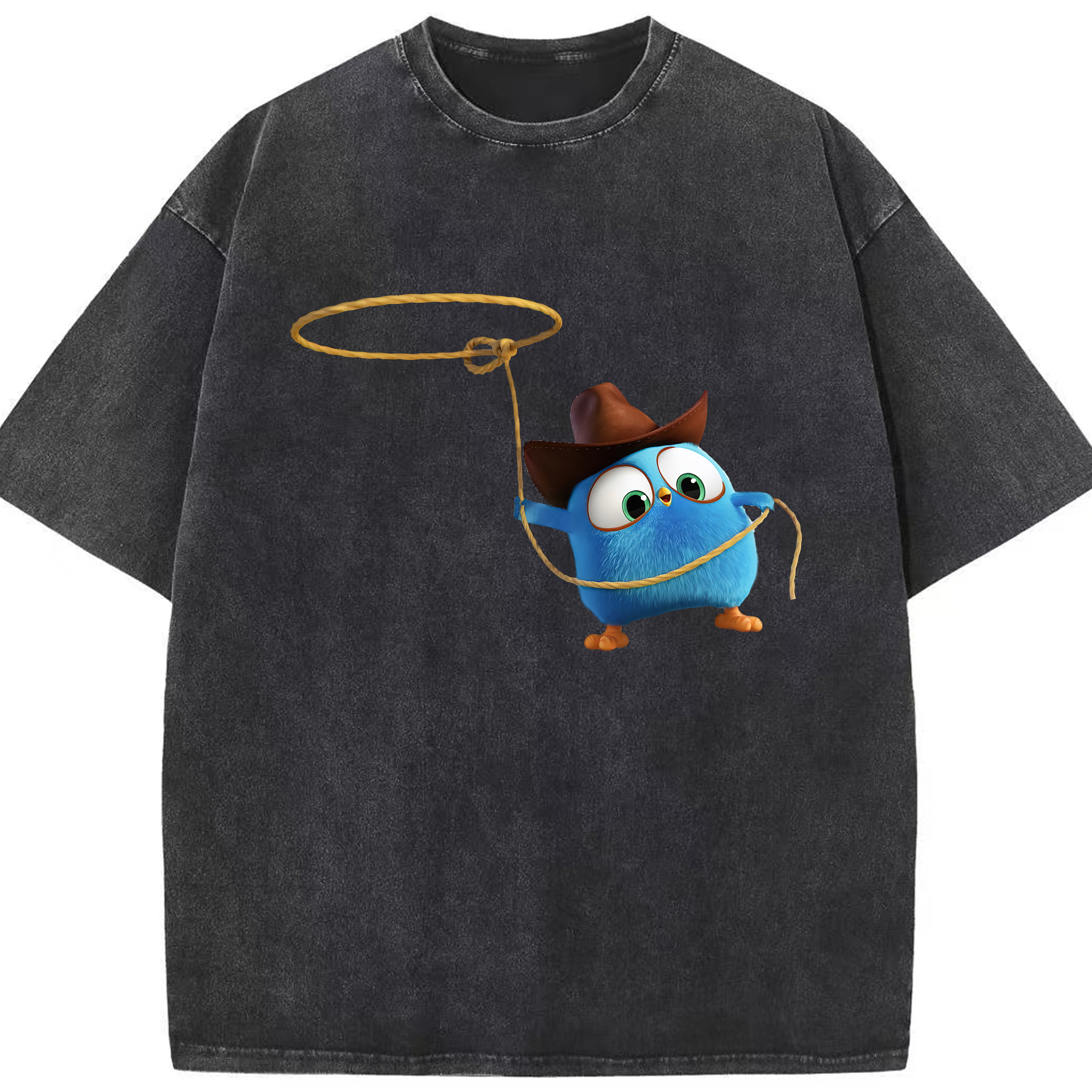 （画像用） Angry Birds アングリーバード 綿100% ヴィンテージ風 半袖Tシャツ（フロントプリント）