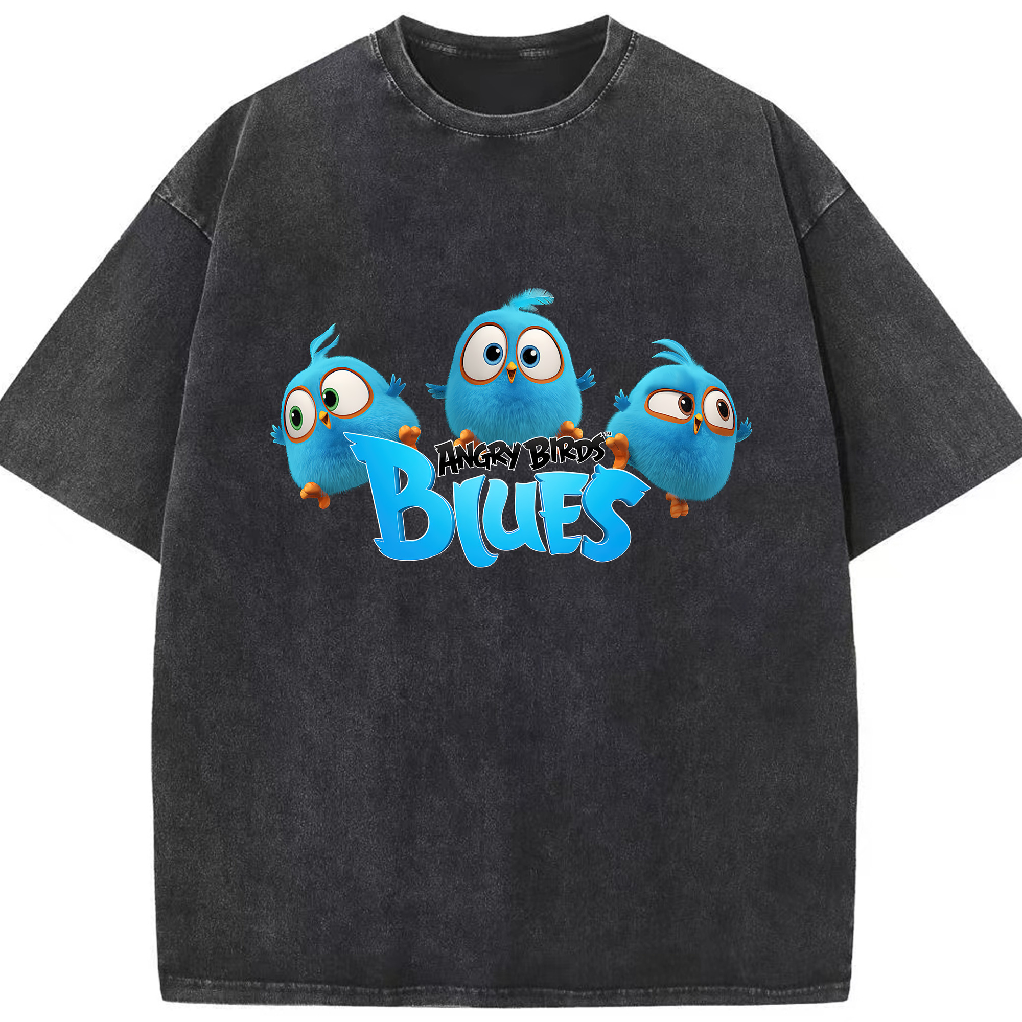 （画像用） Angry Birds アングリーバード 綿100% ヴィンテージ風 半袖Tシャツ（フロントプリント）