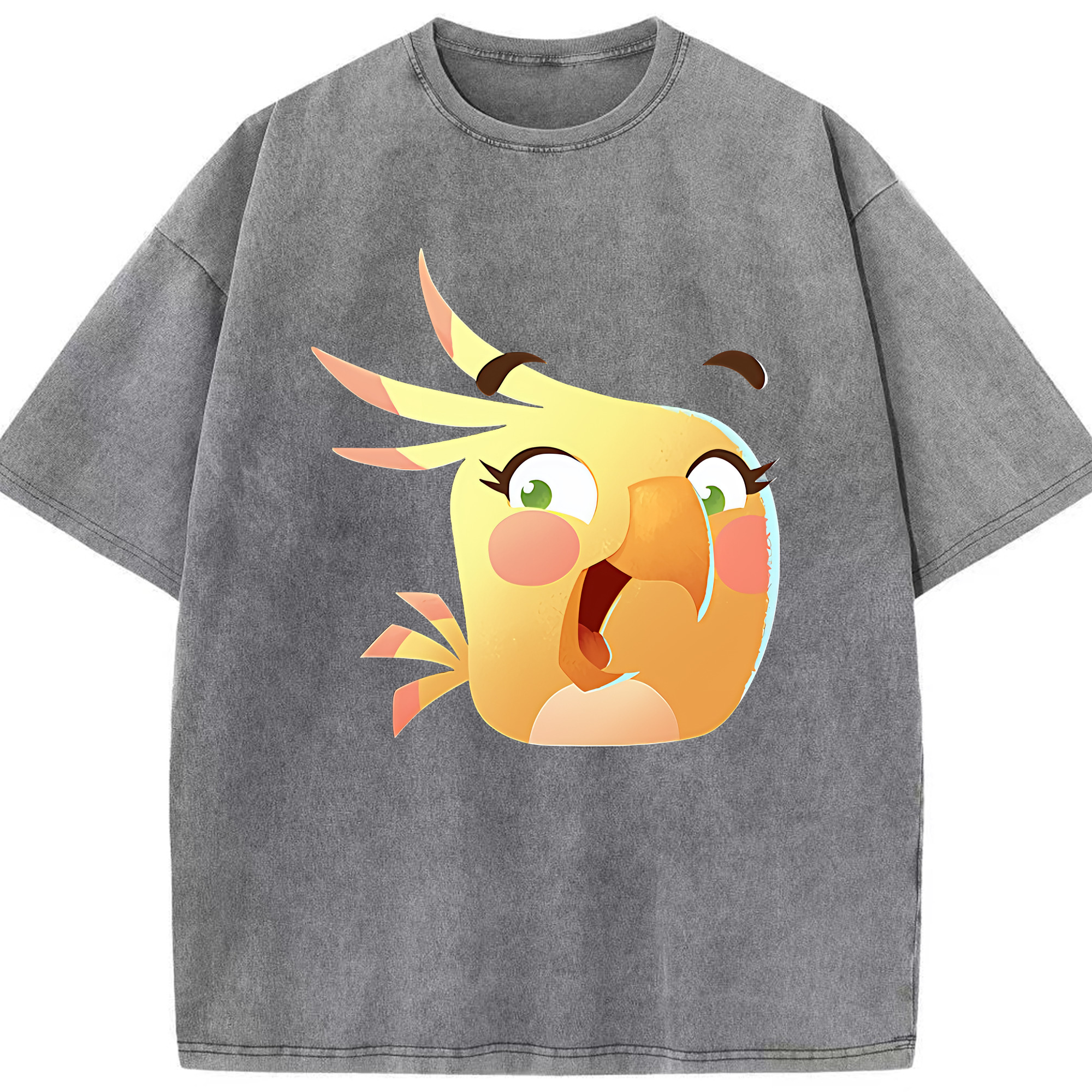 （画像用） Angry Birds アングリーバード 綿100% ヴィンテージ風 半袖Tシャツ（フロントプリント）