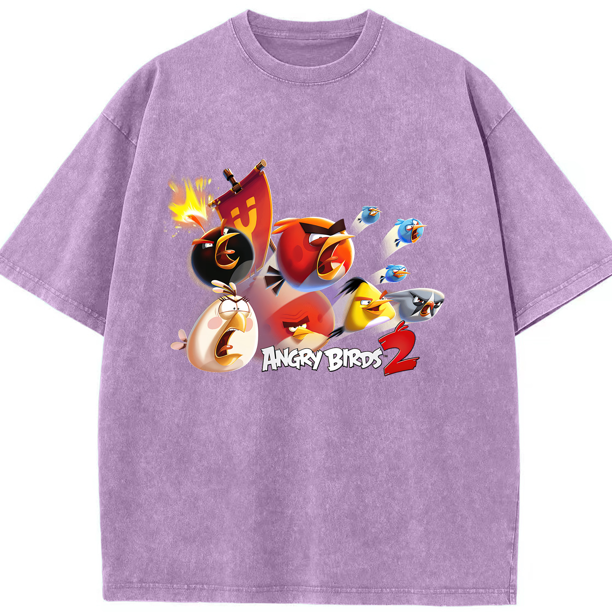 （画像用） Angry Birds アングリーバード 綿100% ヴィンテージ風 半袖Tシャツ（フロントプリント）