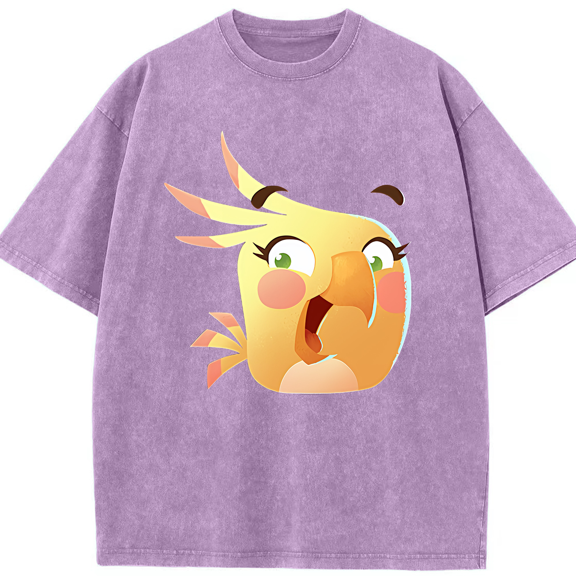（画像用） Angry Birds アングリーバード 綿100% ヴィンテージ風 半袖Tシャツ（フロントプリント）