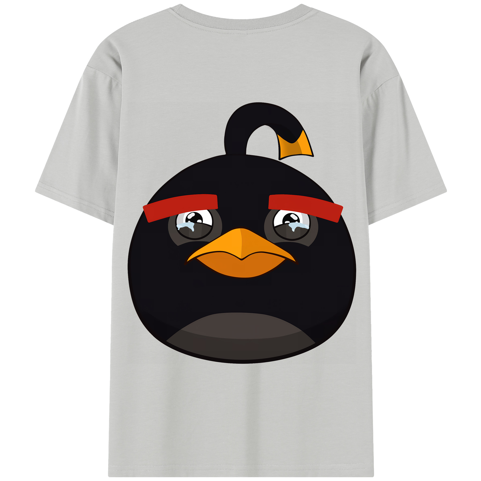 （画像用） Angry Birds アングリーバード レディース半袖Tシャツ(バックプリント)