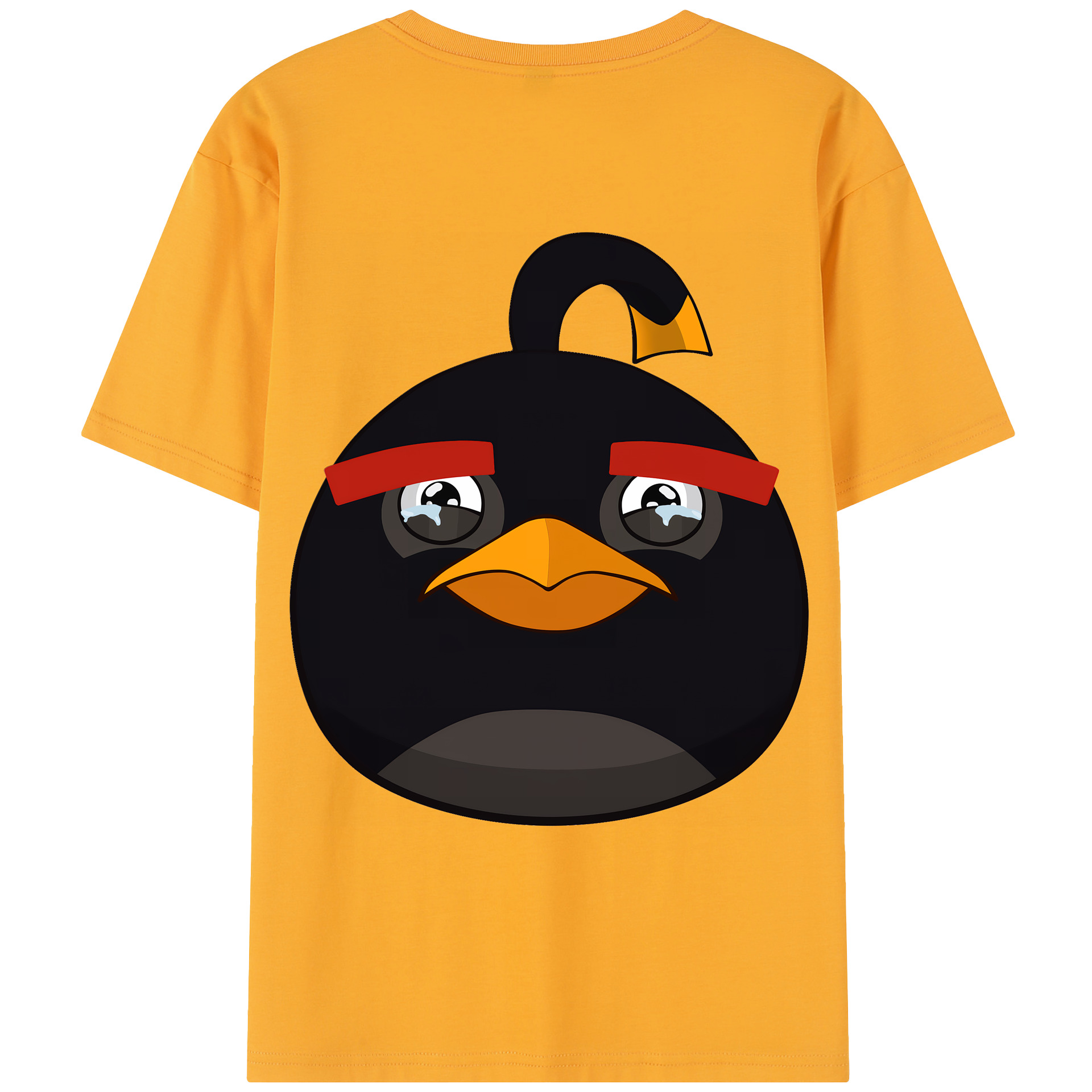 （画像用） Angry Birds アングリーバード レディース半袖Tシャツ(バックプリント)
