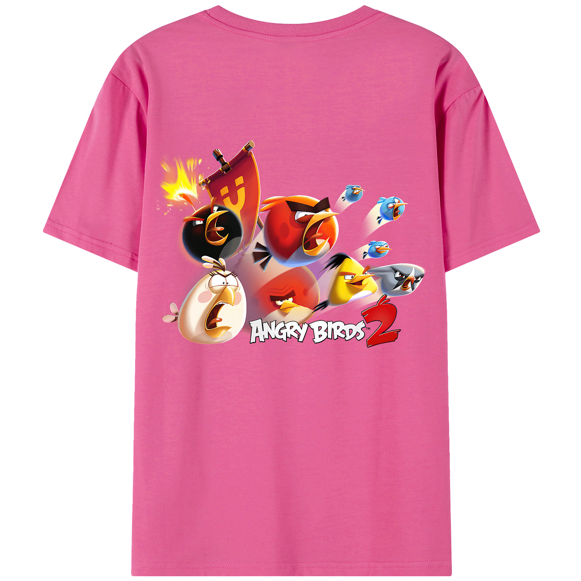 （画像用） Angry Birds アングリーバード レディース半袖Tシャツ(バックプリント)