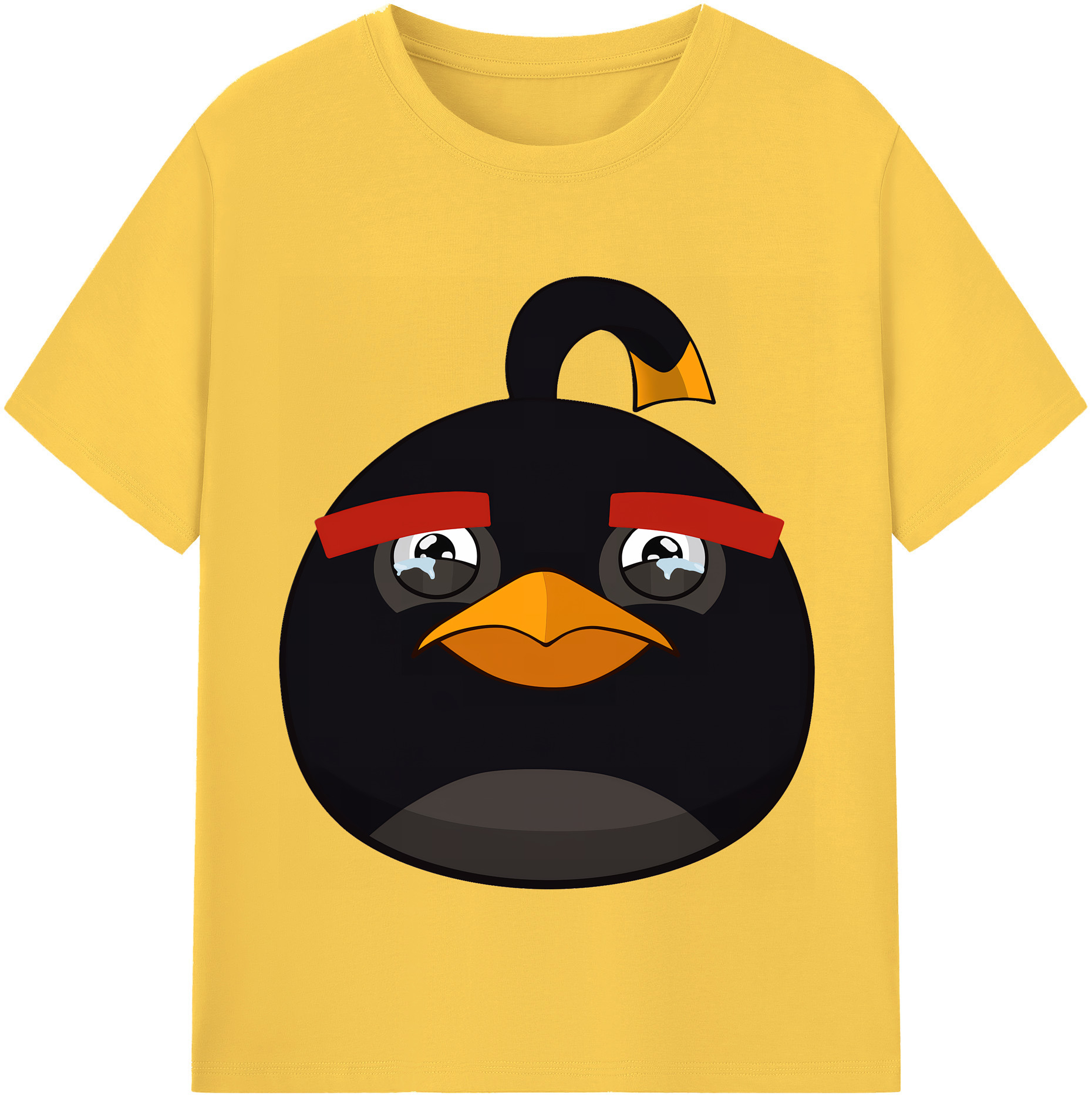 （画像用） Angry Birds アングリーバード 綿100％半袖Tシャツ（フロントプリント）
