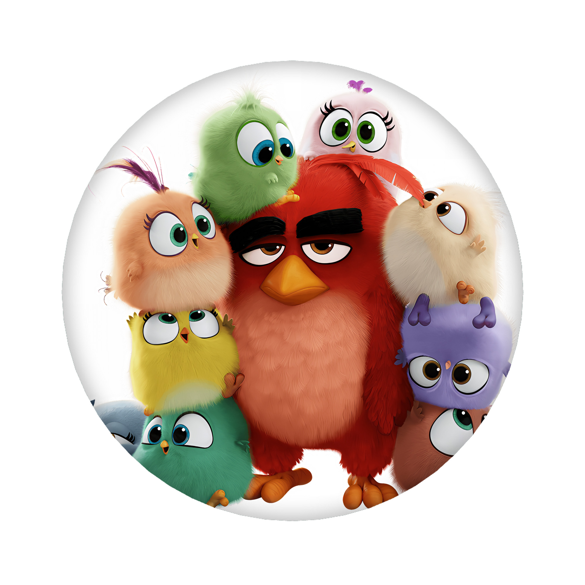 （画像用） Angry Birds アングリーバード 6cm 缶バッジ 複数セット