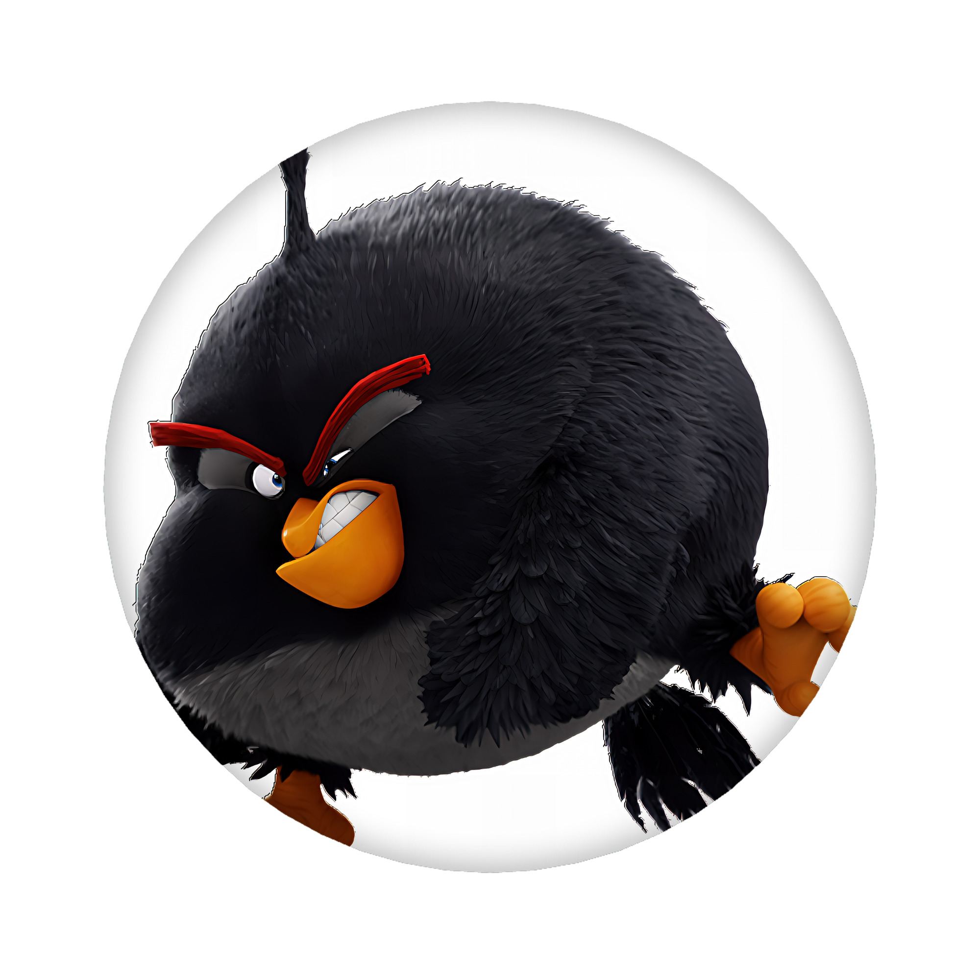 （画像用） Angry Birds アングリーバード 6cm 缶バッジ 複数セット
