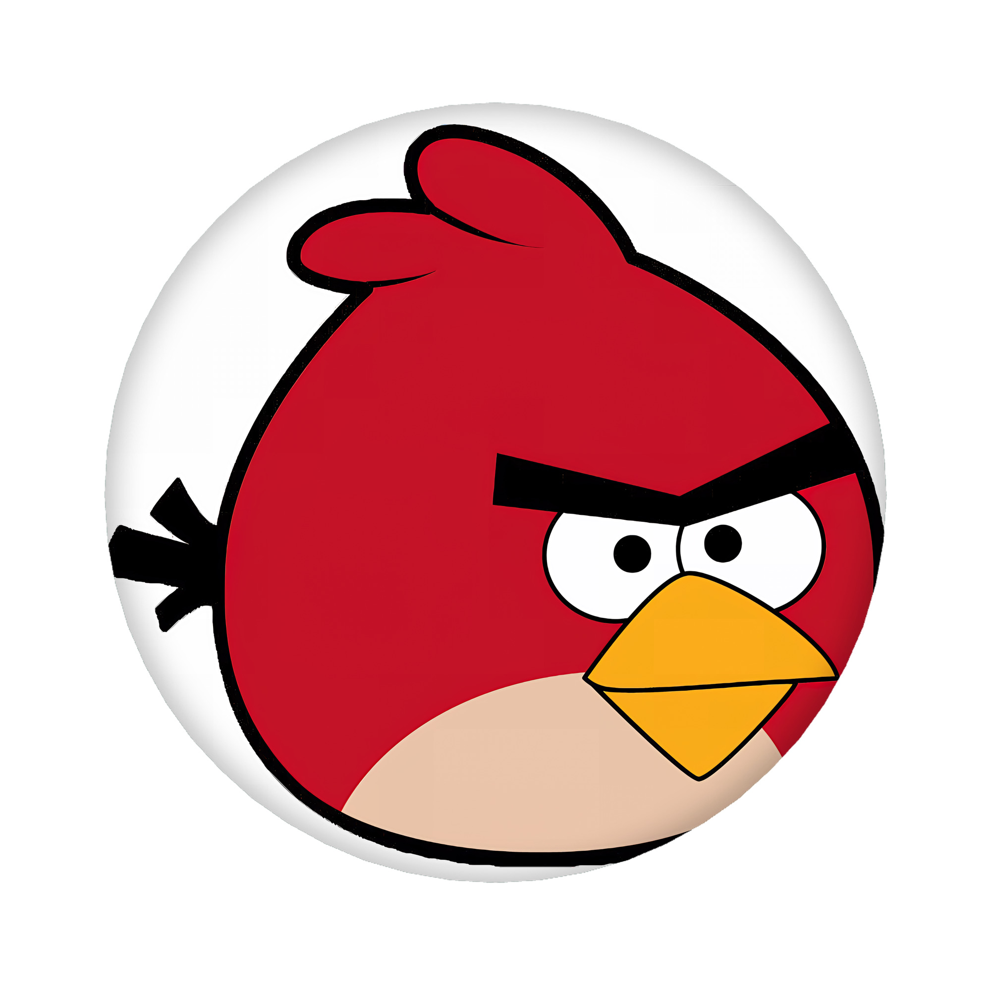 （画像用） Angry Birds アングリーバード 6cm 缶バッジ 複数セット