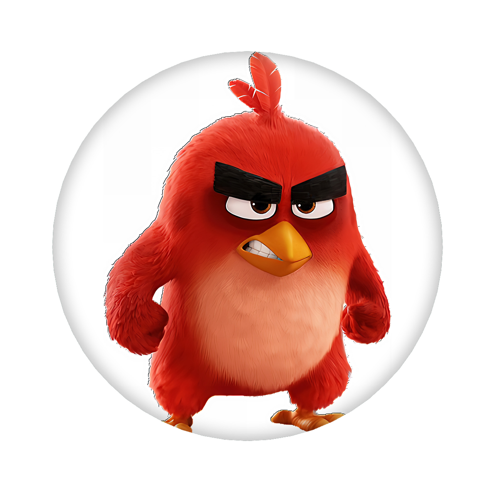 （画像用） Angry Birds アングリーバード 6cm 缶バッジ 複数セット
