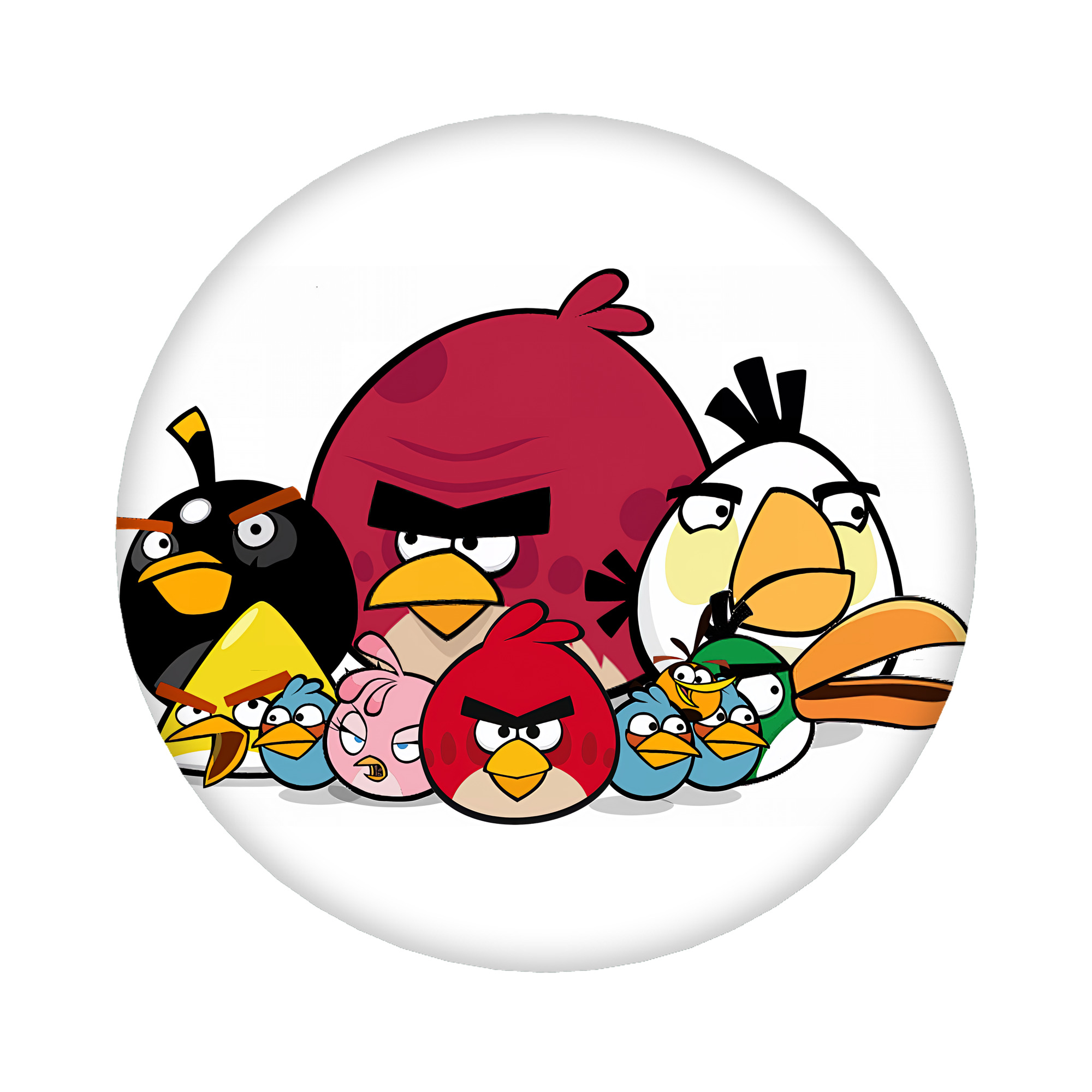 （画像用） Angry Birds アングリーバード 6cm 缶バッジ 複数セット