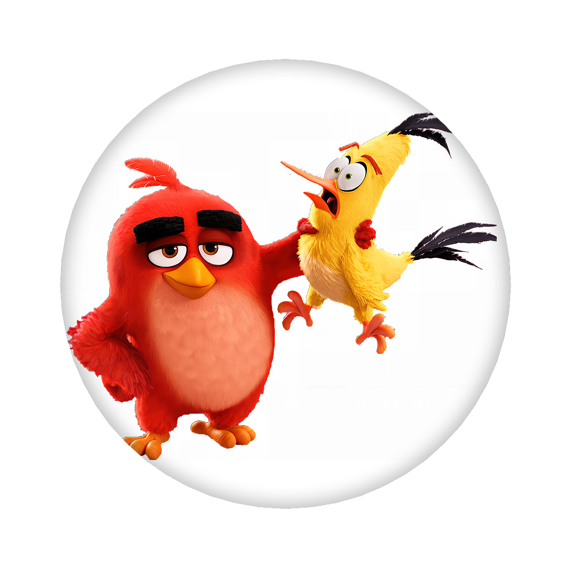 （画像用） Angry Birds アングリーバード 6cm 缶バッジ 複数セット