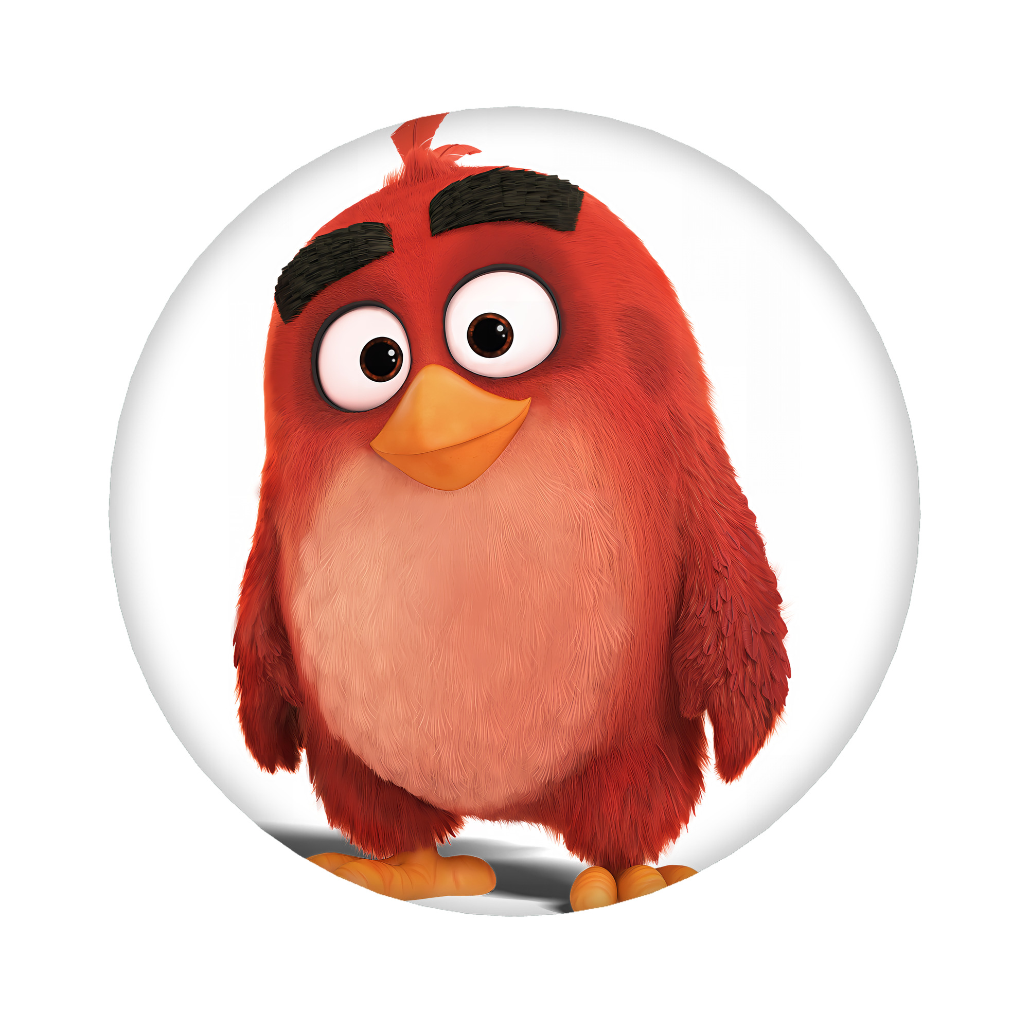 （画像用） Angry Birds アングリーバード 6cm 缶バッジ 複数セット