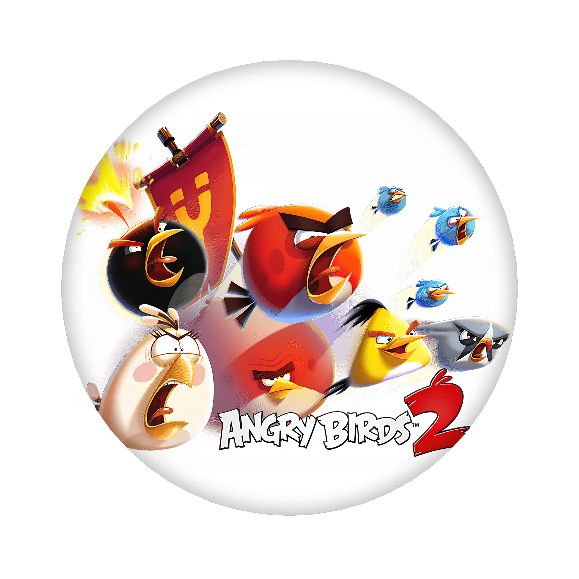 （画像用） Angry Birds アングリーバード 6cm 缶バッジ 複数セット